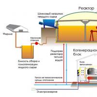 Эффективный метод получения биогаза в домашних условиях