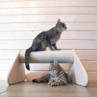 Rascadores para gatos de bricolaje: diseño, diagramas, fabricación - para diferentes razas y personalidades Diseño complejo: una casa para un gato con un rascador de bricolaje