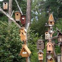 DIY birdhouse: meistarklase ar fotogrāfijām