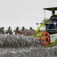 Mini tahıl hasat makinesi: çiftçi için küçük ekipman